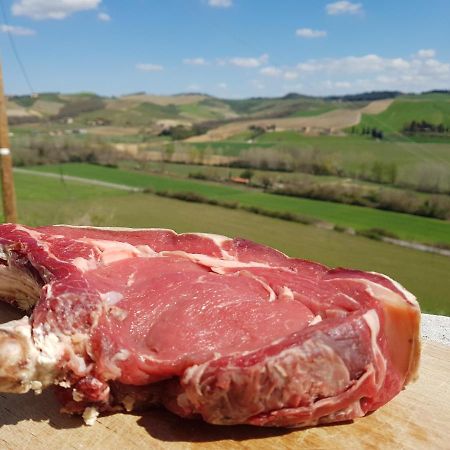 Agriturismo Montepinci 蒙塔尔奇诺 外观 照片