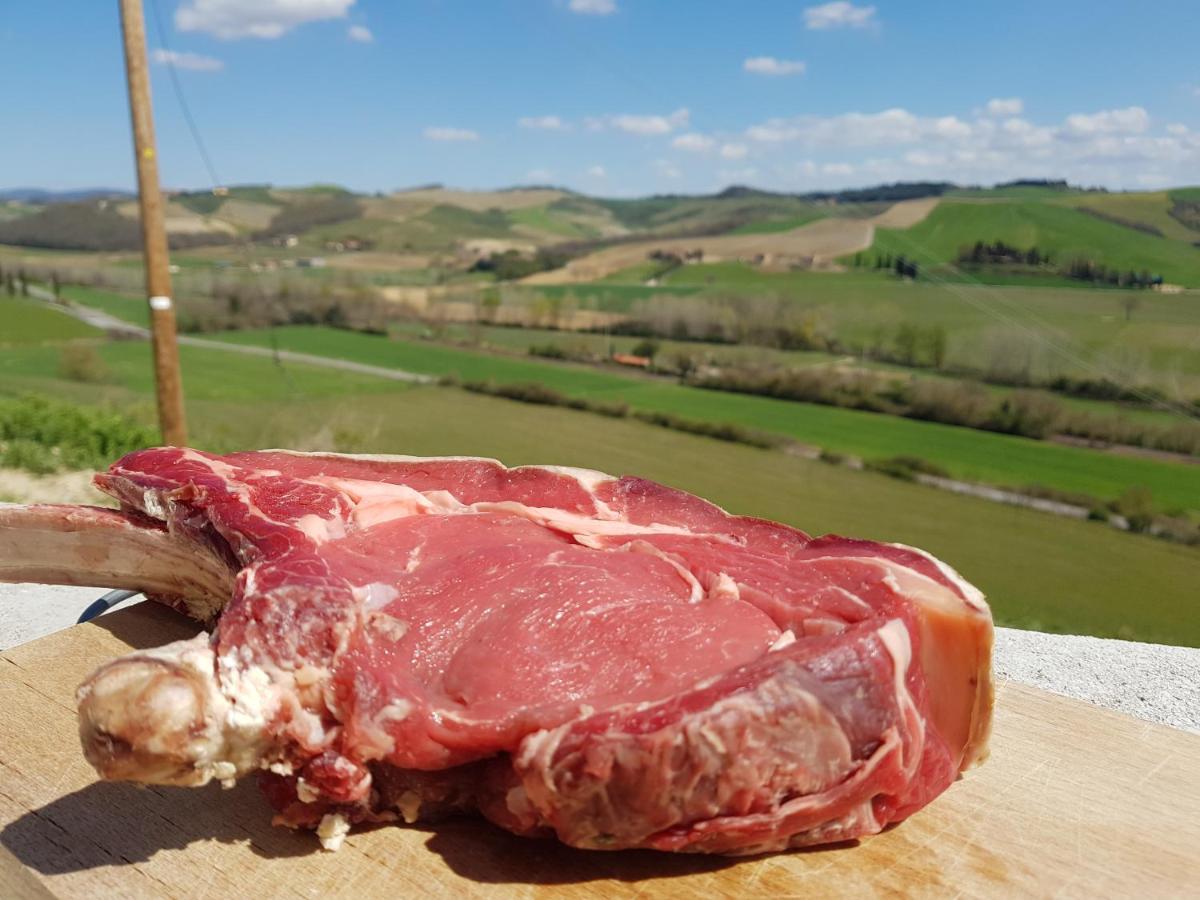 Agriturismo Montepinci 蒙塔尔奇诺 外观 照片